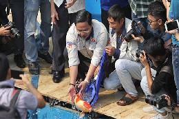 Thả cá koi đắt tiền xuống sông Tô Lịch